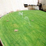green roof utrecht